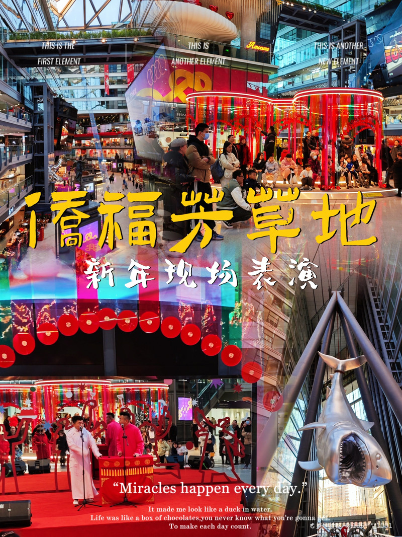 最新揭秘，2024新澳芳草地全方位資料詳解，揭秘2024新澳芳草地全方位資料，最新詳解