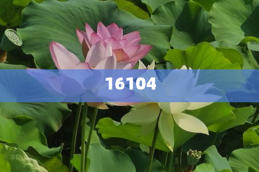 新奧600圖庫2025，探索與前瞻，新奧600圖庫2025，深度探索與未來展望