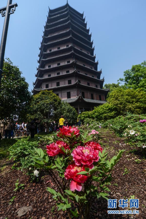 六和彩開碼資料網(wǎng)——探索彩票世界的門戶，六和彩開碼資料網(wǎng)，彩票世界探索之門