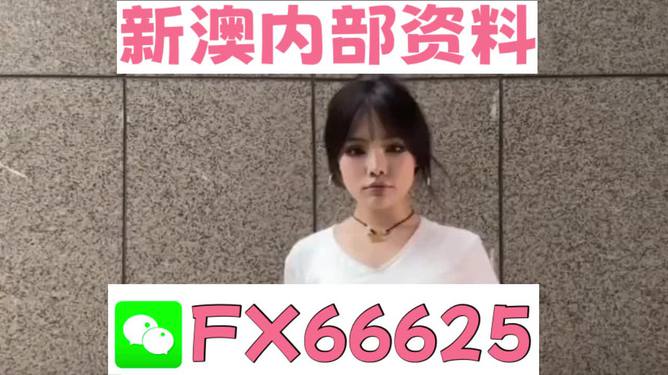 澳門資料大全正版資料查詢，探索澳門的文化與歷史深度之旅，澳門文化與歷史深度探索，正版資料大全及查詢指南