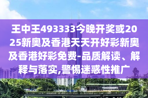 王中王493333中特大全，深度解析與SEO優(yōu)化策略，王中王493333中特大全，深度解析與SEO優(yōu)化策略指南
