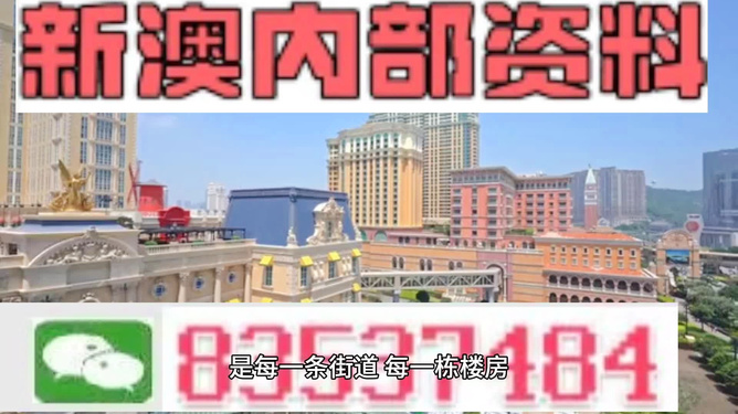 新澳門最精準(zhǔn)正最精準(zhǔn)龍門——探索澳門的魅力與機(jī)遇，澳門魅力與機(jī)遇探索，新澳門最精準(zhǔn)龍門