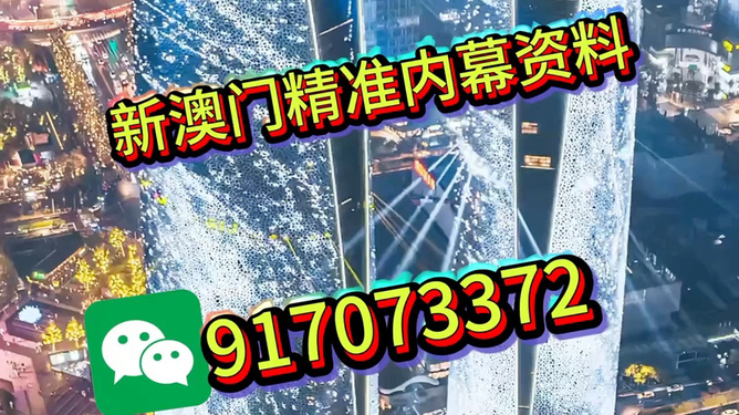 澳門正版免費(fèi)大全，探索未來的精準(zhǔn)資訊世界（2025展望），澳門正版免費(fèi)資訊大全，展望未來的精準(zhǔn)資訊世界（2025年展望）