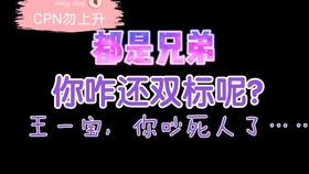 一肖二肖是什么意思——深度解析中國民俗中的生肖文化，深度解析中國民俗中的生肖文化，一肖二肖的含義與故事