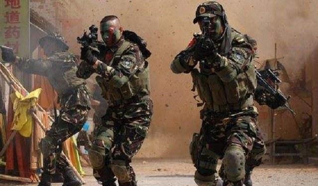 中國(guó)兩個(gè)特種兵叛變，深度解析與反思，中國(guó)特種兵叛變事件，深度分析與反思