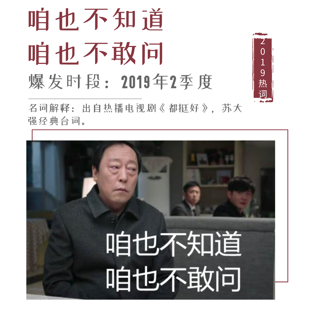 王中王一句解四肖，揭秘生肖奧秘與運勢解析，揭秘生肖奧秘與運勢解析，王中王一句解四肖探秘運勢之道