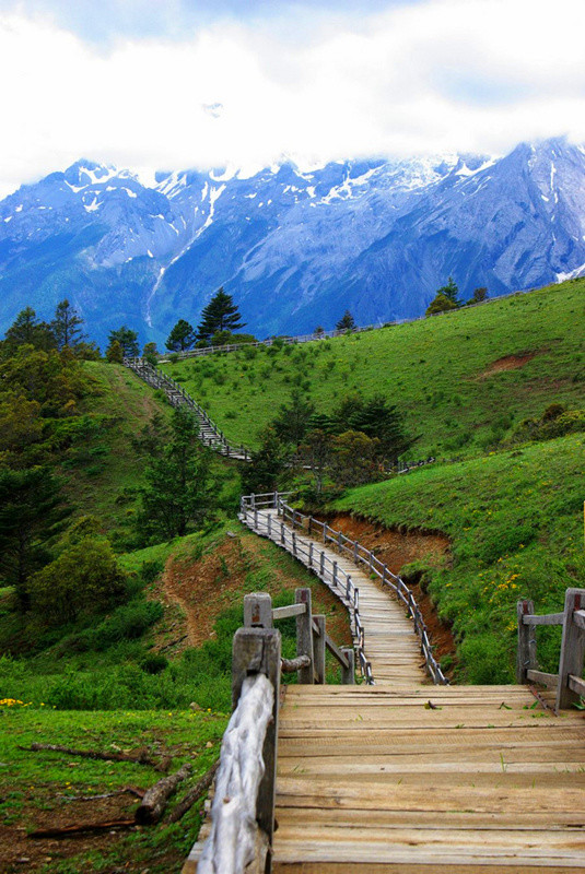 玉龍雪山門票免費(fèi)政策詳解，玉龍雪山門票免費(fèi)政策全面解析