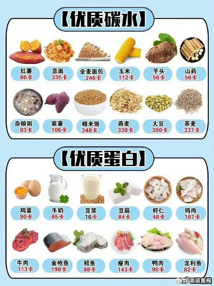 各種食物熱量表大全，健康飲食的必備指南，食物熱量表全面解析，健康飲食的必備指南