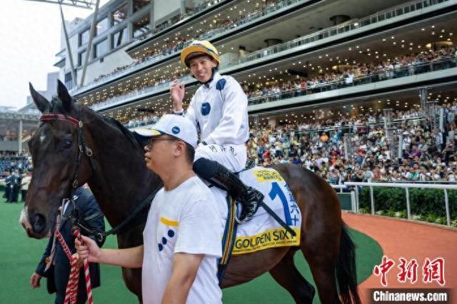 香港特馬王資料免費(fèi)公開，深度解析與探索，香港特馬王資料深度解析與探索，免費(fèi)公開揭秘