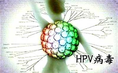 HPV病毒能否徹底清除？深度解析與應(yīng)對策略，深度解析HPV病毒能否徹底清除，應(yīng)對策略及應(yīng)對方法