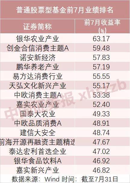 諾安價(jià)值增長(zhǎng)基金的凈值表現(xiàn)與市場(chǎng)洞察，諾安價(jià)值增長(zhǎng)基金凈值表現(xiàn)與市場(chǎng)洞察分析