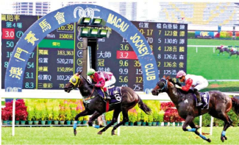 澳門賽馬會，歷史、文化與激情的交融，澳門賽馬會，歷史、文化與激情的盛會