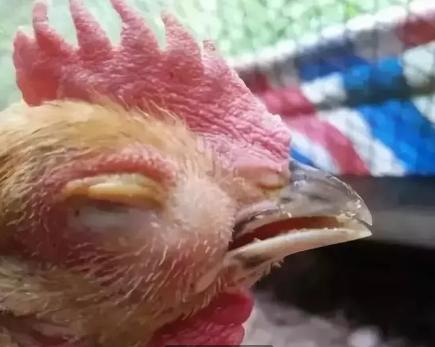 或者簡(jiǎn)化為 第2頁(yè)