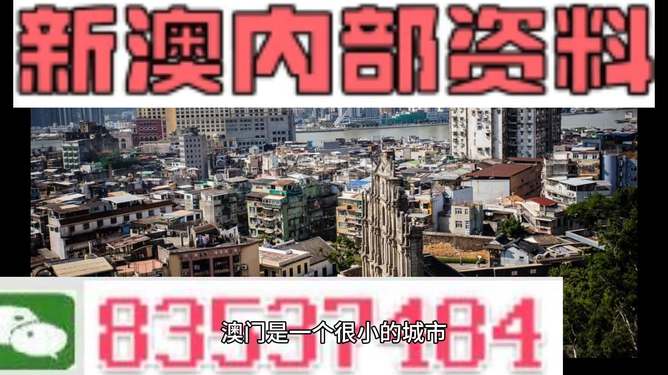 新澳門精準(zhǔn)四肖期準(zhǔn)，探索背后的秘密與策略，澳門精準(zhǔn)四肖期背后的秘密與策略探索