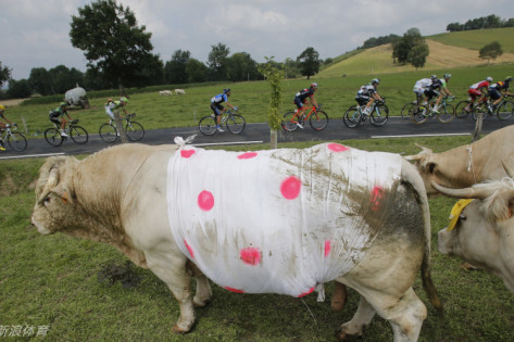 王中王四不像特一肖，神秘文化符號(hào)解讀與SEO洞察，王中王四不像特一肖，神秘文化符號(hào)解讀與SEO洞察揭秘