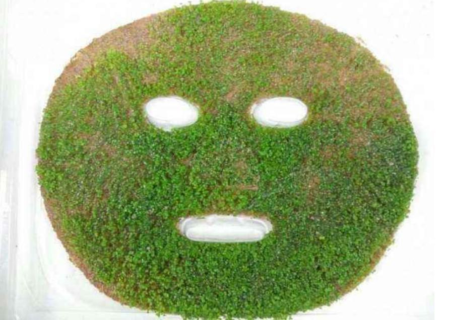 海藻面膜可以天天敷嗎？——深度解析海藻面膜的使用頻率與注意事項(xiàng)，海藻面膜的使用頻率與注意事項(xiàng)解析，能否天天敷海藻面膜？
