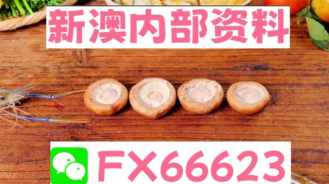 新澳全年免費資料大全——探索與學習資源的寶庫，新澳全年免費資料大全，探索與學習資源的終極寶庫