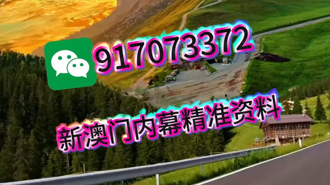 王中王一肖一中特，深度解析與SEO優(yōu)化策略，王中王一肖一中特深度解析與SEO優(yōu)化策略探討