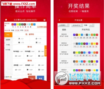 王中王三肖必出一肖，深度解析與探索，王中王三肖必出一肖，深度解析與探索揭秘