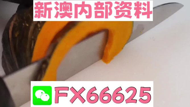 澳門管家婆，揭秘精準(zhǔn)預(yù)測的秘密武器，澳門管家婆揭秘，精準(zhǔn)預(yù)測的秘密武器全解析