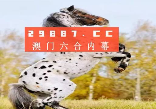 揭秘白小姐王中王四不像圖一，探尋肖中特的神秘面紗，揭秘白小姐王中王四不像圖與肖中特神秘面紗的背后真相