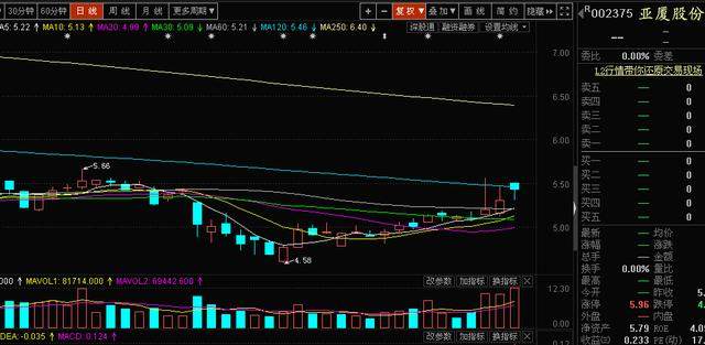 股票300279，深度解析與市場前景展望，股票300279深度解析與前景展望，市場趨勢及策略建議