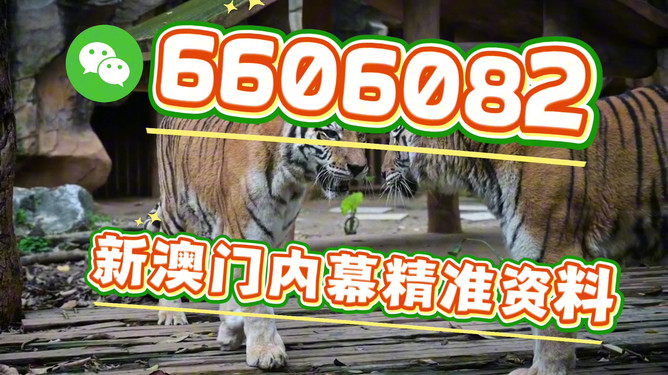 澳門今晚必開一肖一特，探索生肖彩票的魅力與預(yù)測，澳門生肖彩票探索，魅力揭秘與今晚預(yù)測一肖一特