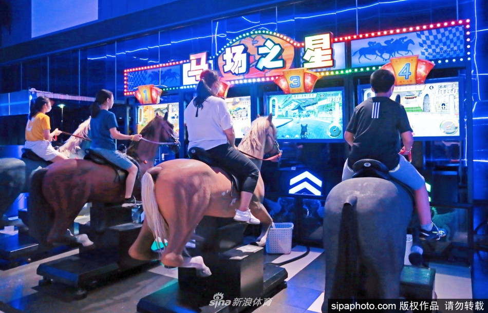 王中王六肖選一，揭秘選擇與優(yōu)化的秘密，揭秘王中王六肖選一的選擇與優(yōu)化秘密