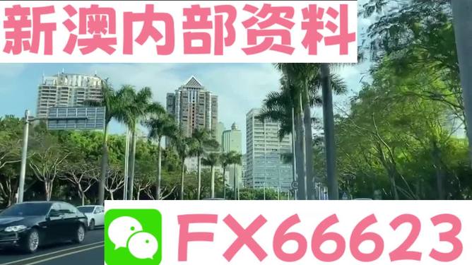 新澳2025年精準(zhǔn)資料深度解析，新澳2025年精準(zhǔn)資料深度剖析報告