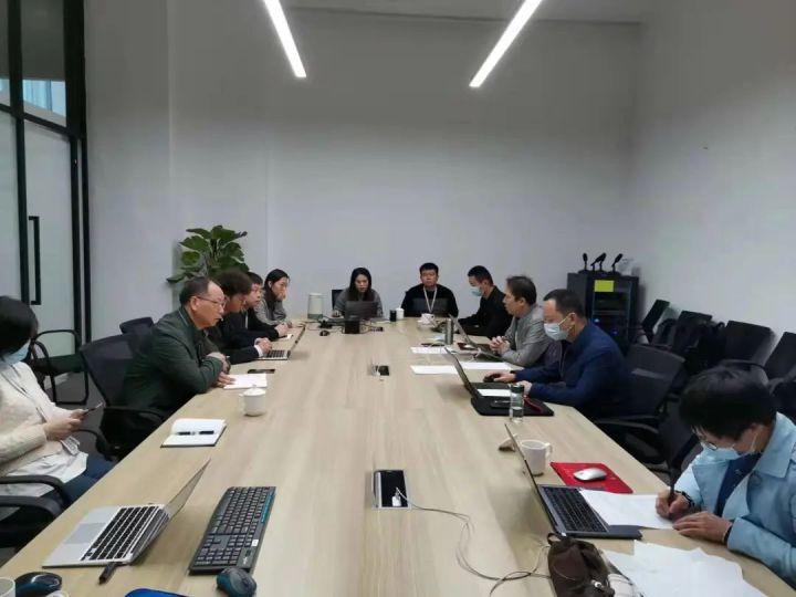 隆平高科股票股，投資潛力與市場前景分析，隆平高科股票投資潛力與市場前景深度解析