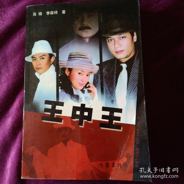 王中王資料一肖中特管系，深度解析與探索，王中王資料一肖中特管系深度解析與探索報(bào)告