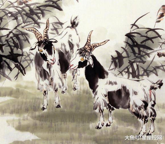 澳門(mén)最快開(kāi)獎(jiǎng)六開(kāi)生肖，揭秘彩票背后的秘密，澳門(mén)六開(kāi)生肖彩票背后的秘密揭曉