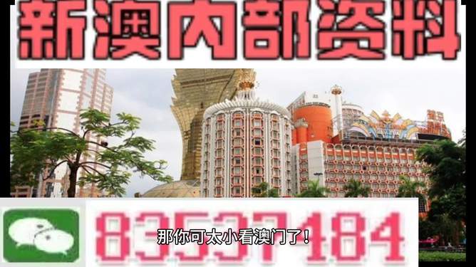 新澳新澳門正版資料，探索與解析，新澳新澳門正版資料深度解析與探索