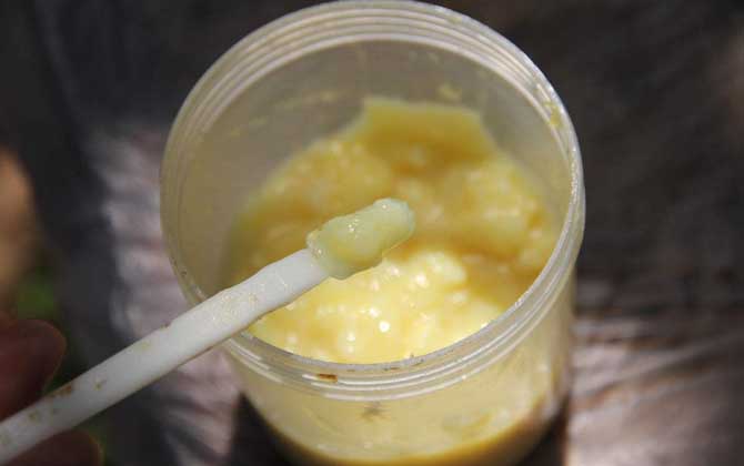 蜂王漿，功效、作用及食用方法詳解，蜂王漿，功效、作用及食用方法全面解析