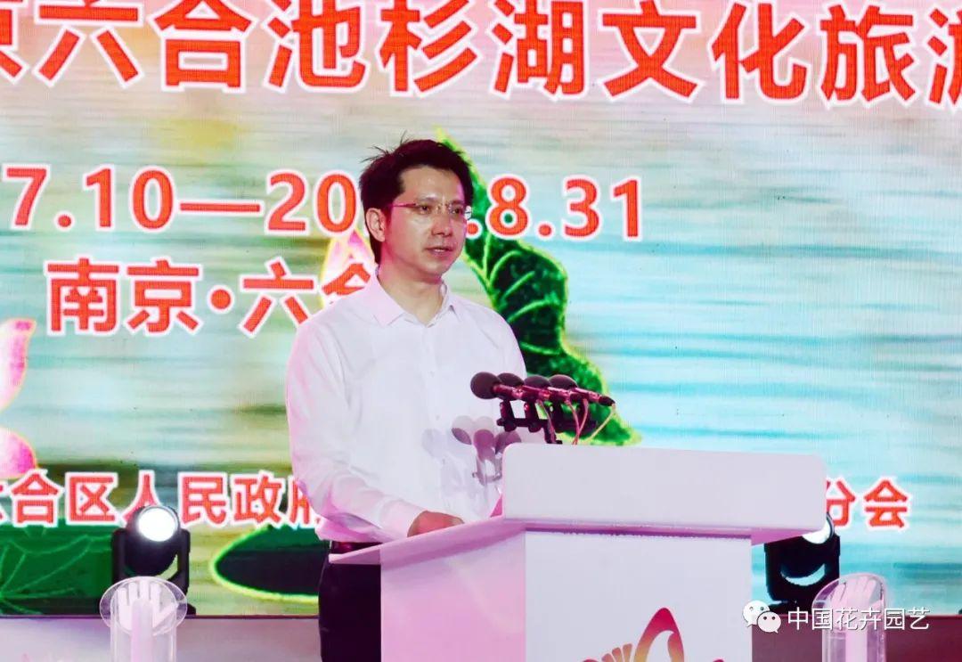 澳門六會65期開獎結果詳解，澳門六會第65期開獎結果深度解析