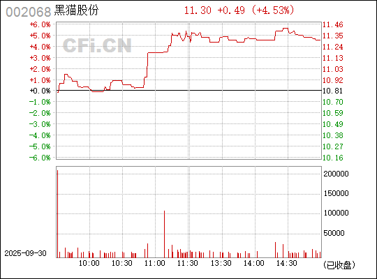 深入了解，關(guān)于股票代碼中的秘密——002068，揭秘股票代碼中的秘密，002068深度解析