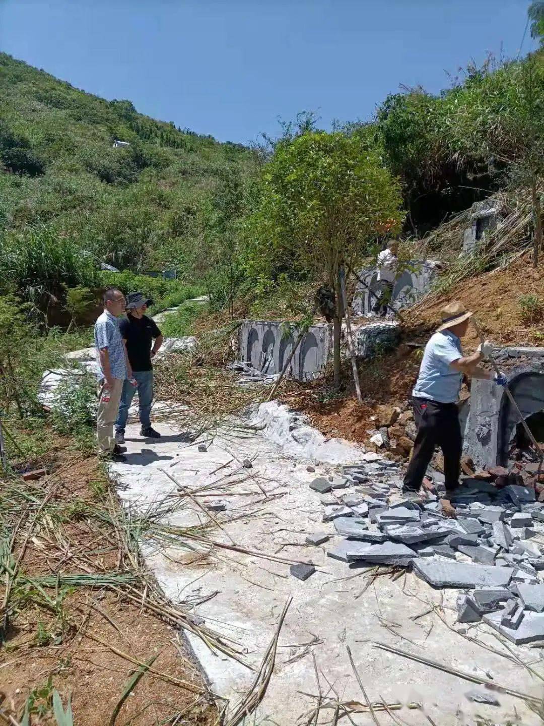 王中王一字一句拆一肖，深度解析背后的奧秘，王中王拆字揭秘，探尋背后奧秘揭曉生肖之謎