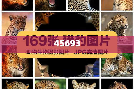 全新升級，7777888888精準(zhǔn)新管家，全新升級管家，精準(zhǔn)管理，一站式服務(wù) 7777888888新管家重磅來襲
