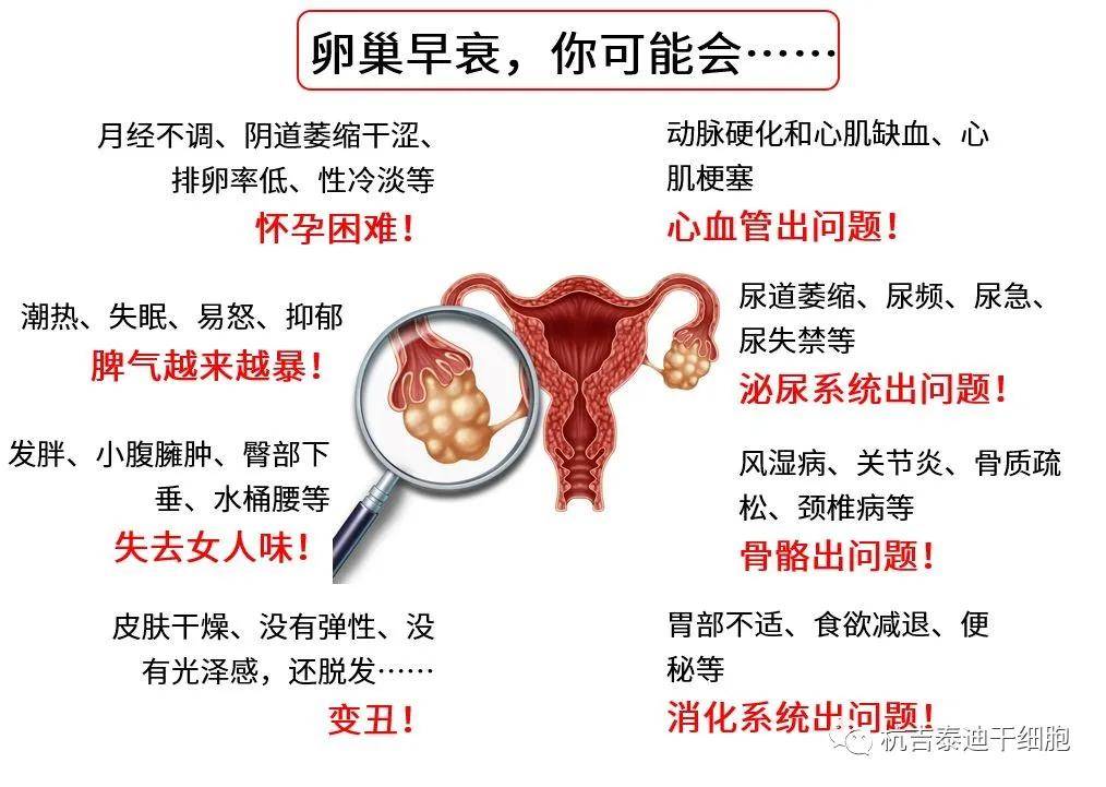 四十歲卵巢早衰能否調(diào)整回來？解讀卵巢早衰與應(yīng)對策略，四十歲卵巢早衰能否調(diào)整回來？解讀卵巢早衰現(xiàn)象及應(yīng)對策略