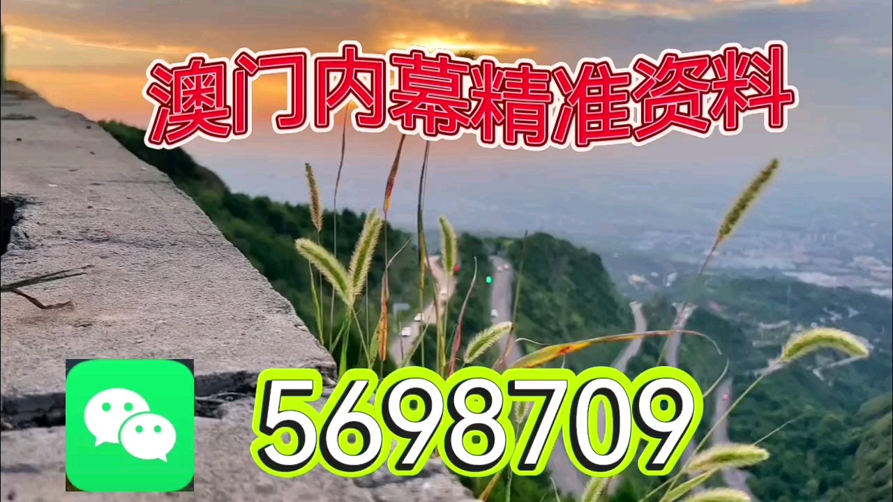 新澳天天開彩資料大全，探索彩票世界的奧秘，探索彩票世界奧秘，新澳天天開彩資料大全