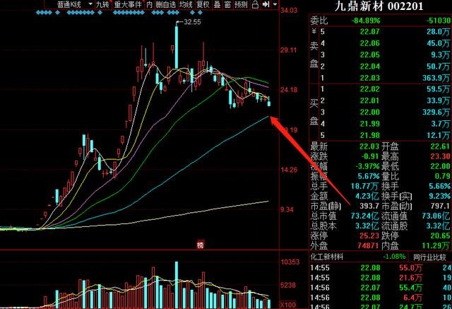 股票002201，深度解析與前景展望，股票002201深度解析與未來前景展望