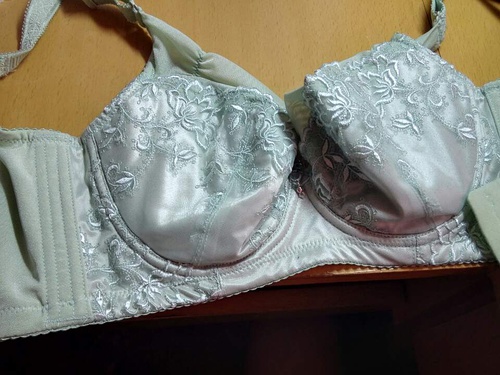 四肖期期誰一王中王——揭秘背后的秘密，揭秘四肖期期王中王背后的秘密