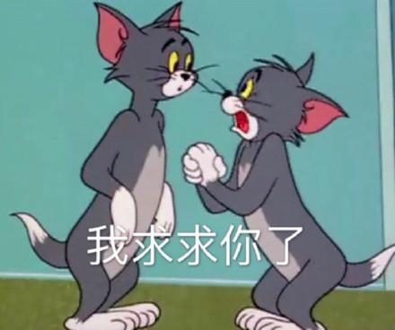 湯姆貓股票股吧，投資熱點與前景展望，湯姆貓股票股吧，投資熱點與未來前景展望
