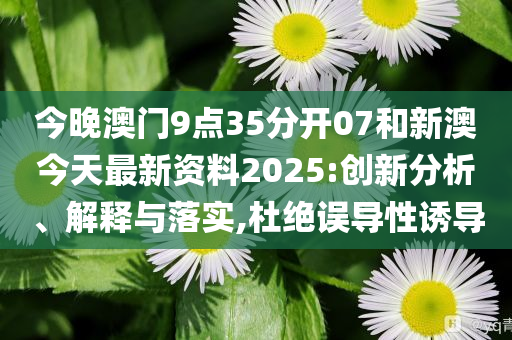 新澳今天最新資料，深度解讀與探索，新澳今日深度解讀與探索最新資料