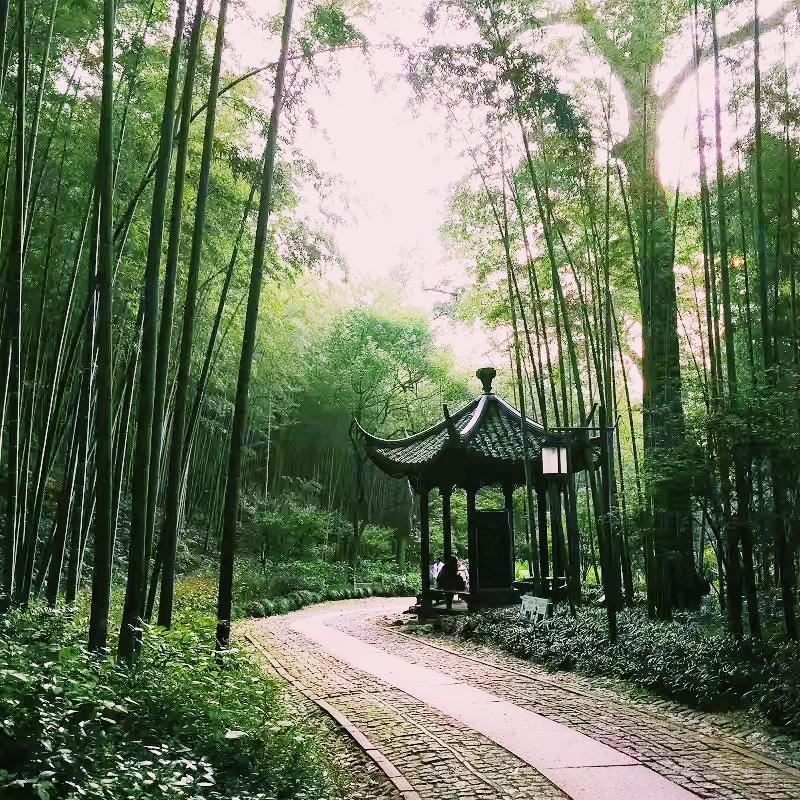 杭州西湖的十大景點(diǎn)——領(lǐng)略千年風(fēng)華之美，杭州西湖十大景點(diǎn)，千年風(fēng)華一覽無遺