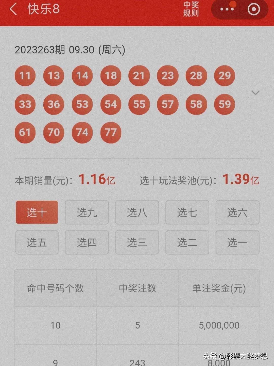 揭秘王中王四肖必中一肖中特，深度解析與SEO優(yōu)化策略，揭秘王中王四肖必中一肖中特，深度解析與SEO策略全攻略
