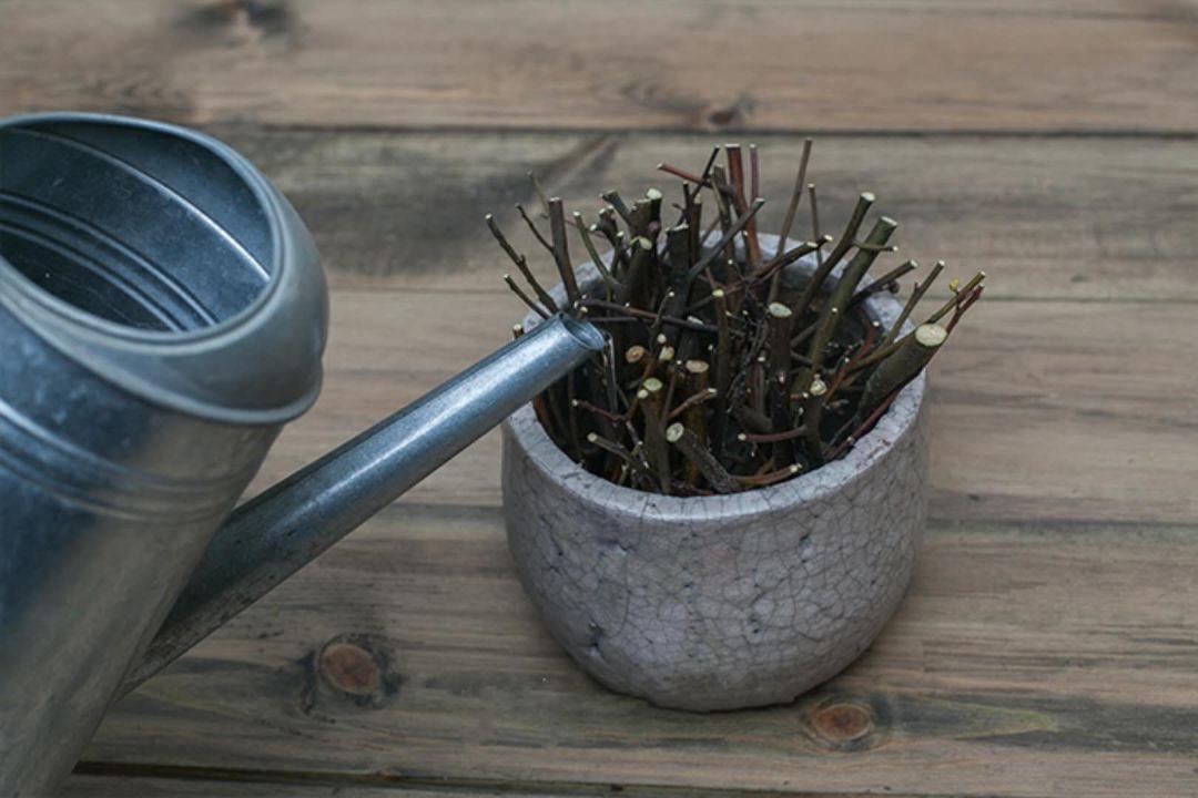 熱點(diǎn) 第173頁(yè)