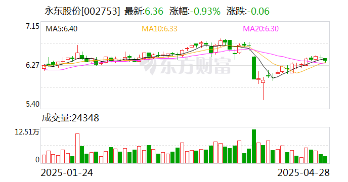 永東股份，引領(lǐng)行業(yè)前沿，塑造卓越未來(lái)，永東股份，引領(lǐng)行業(yè)先鋒，塑造卓越未來(lái)之路