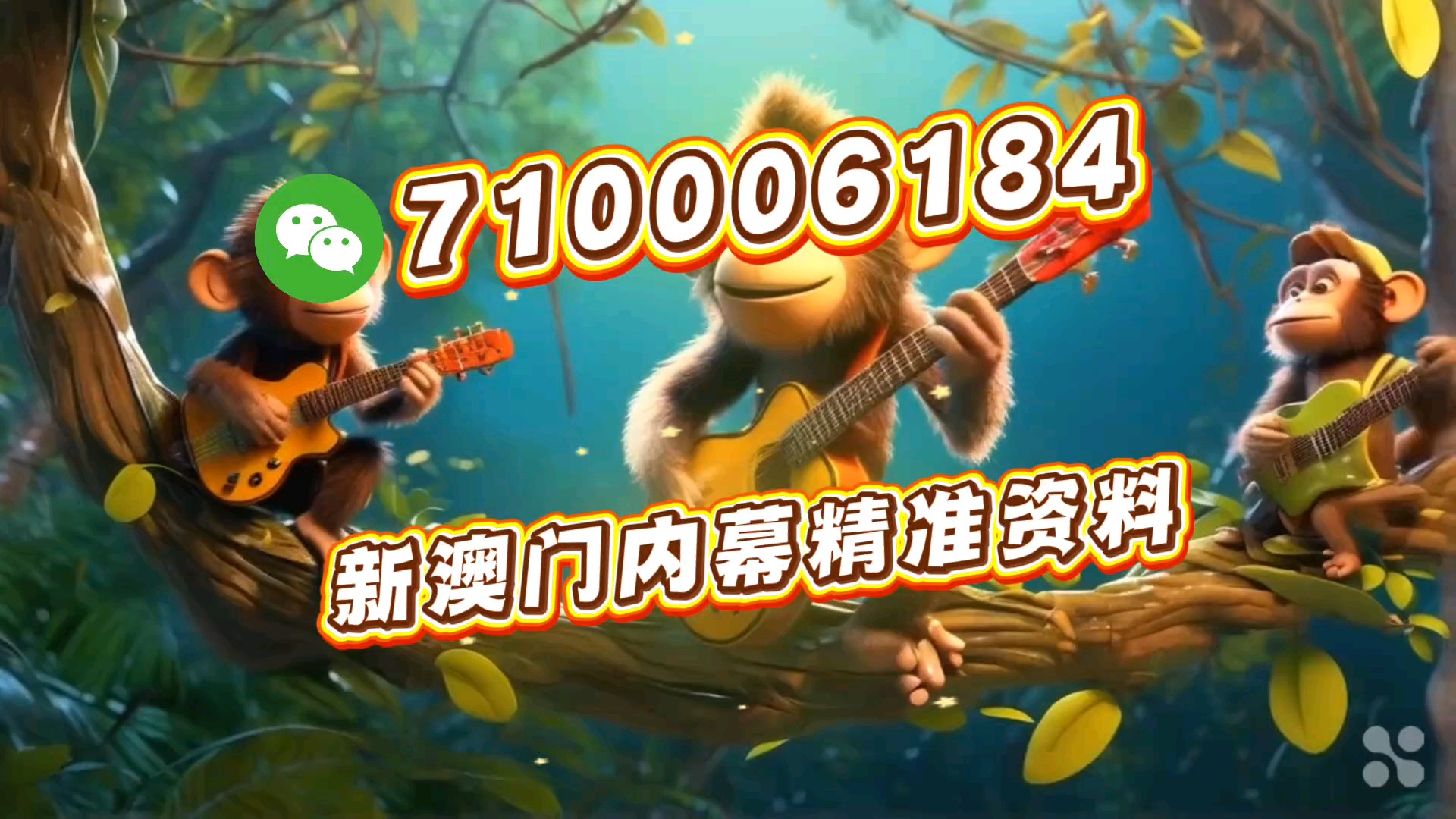 一肖一馬王中王一馬中特的奧秘與探索，一肖一馬王中王，揭秘馬中特的奧秘與探索之旅