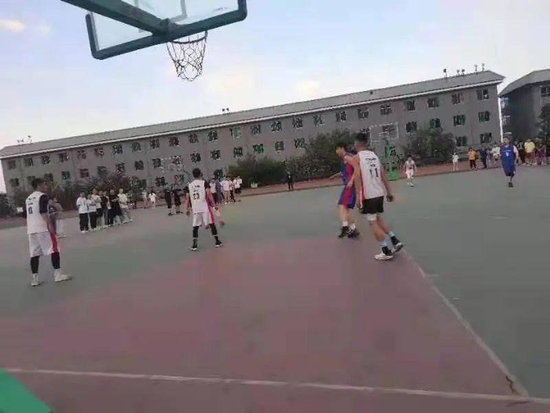 澳門二四六天下彩天天免費大全——全面解析澳門彩票文化，澳門彩票文化全面解析，二四六天下彩免費大全